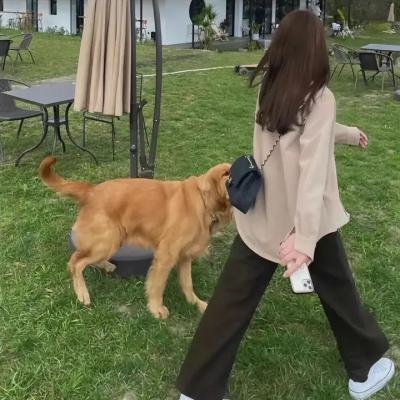 青春环游记第四季